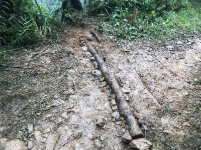 松羅湖山徑維護手作步道活動 成果照-截水溝